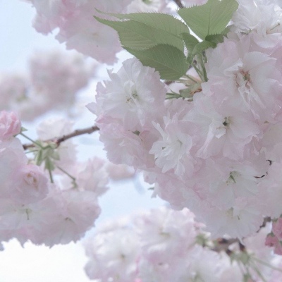 浦口FurryQQ群介绍